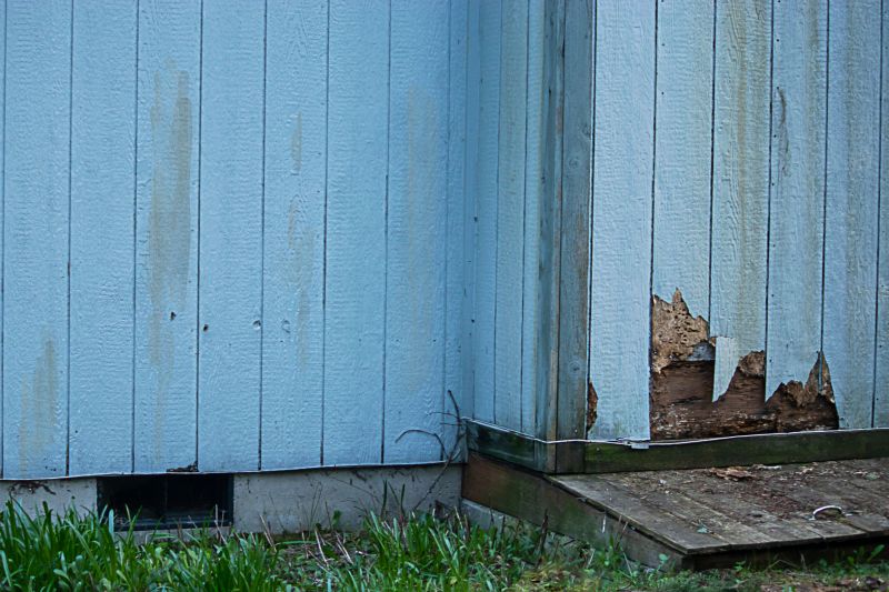 Siding Repair Experts