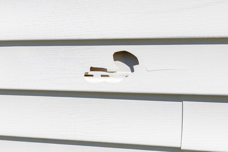 Vinyl Siding Repair - Image 6